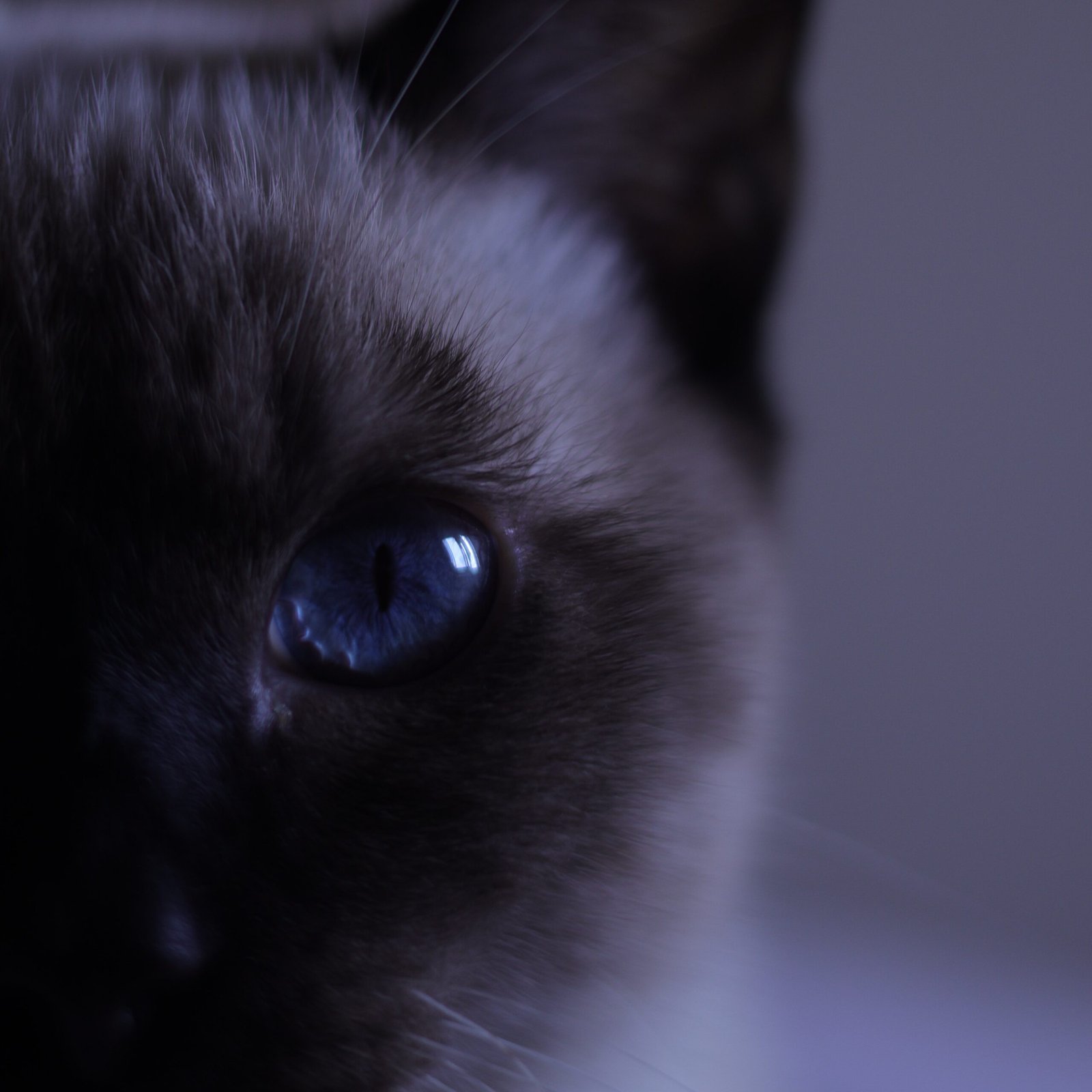 josealejandrowiddup.cesdesignclasemultimedia.es